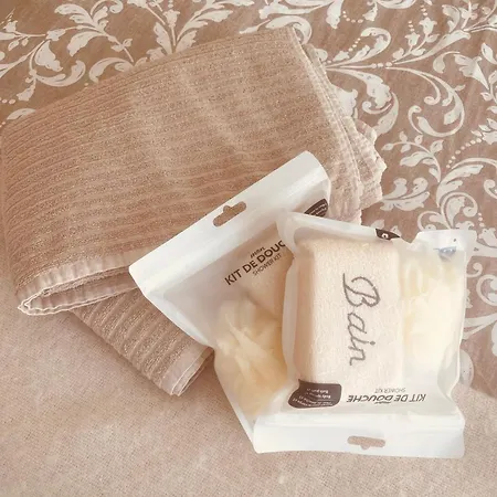 Pansiyon Les De Sophie Libourne